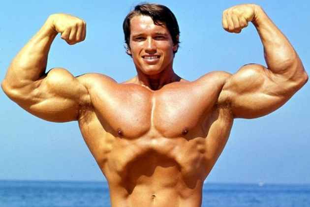 ARNOLD, turbomind.com