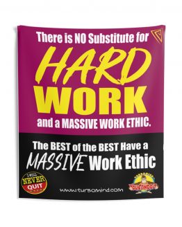 NO SUBSTITUTE FOR HARD WORK- Indoor Wall Tapestries