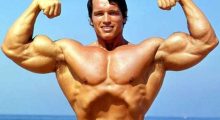 ARNOLD, turbomind.com